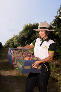 A happy farmer carrying a box of fresh organic mangoes outdoors.