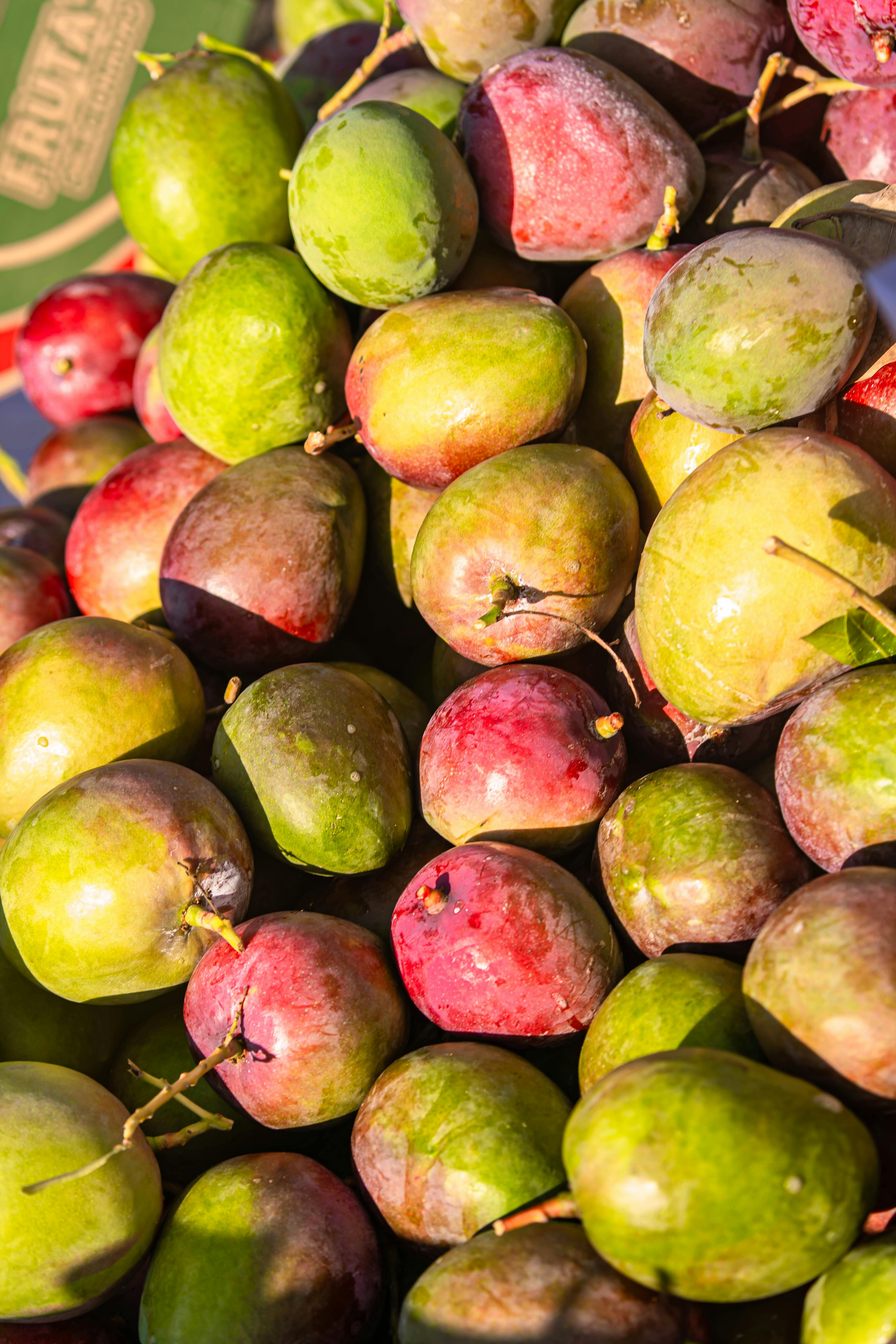 A pile of fresh, colorful mangos with vivid red and green hues in natural daylight.