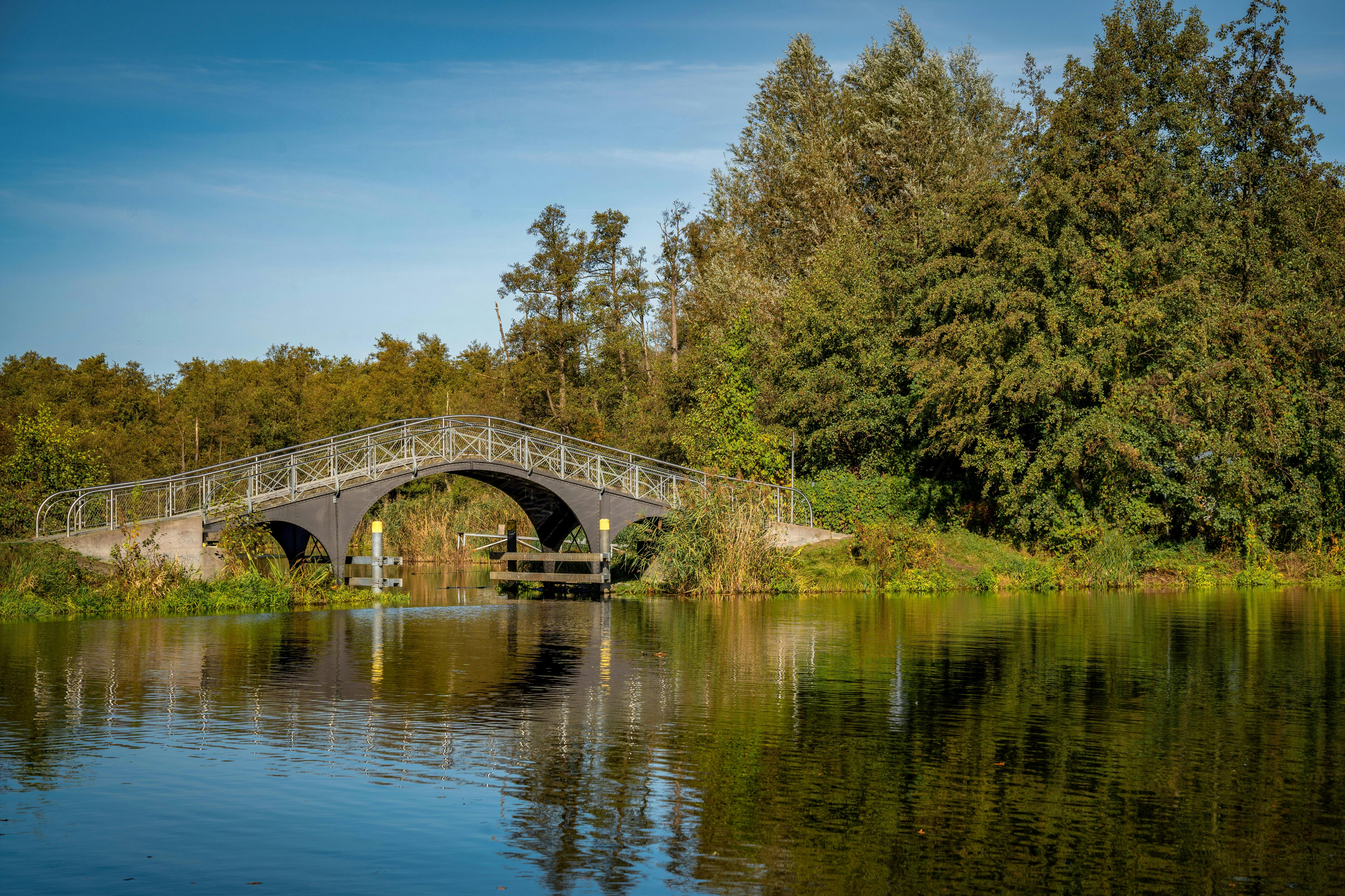 Scenic Autumn Landscape with Curved Bridge