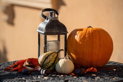 Free A rustic autumn arrangement with pumpkins, leaves, and a lantern on a table. Stock Photo