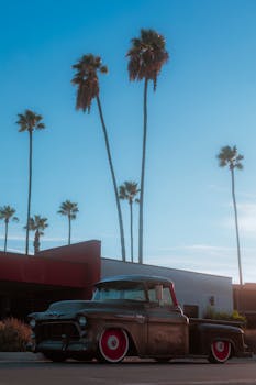 Classic truck parked under tall palm trees against blue sky, showcasing vintage charm.