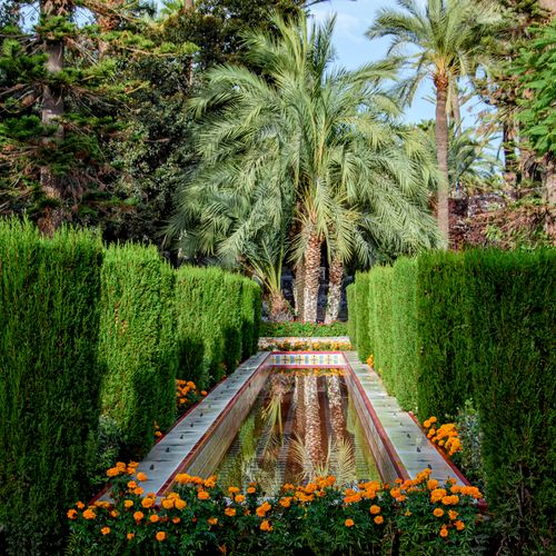 Free Serene garden in Elche, Spain, featuring palm trees and vibrant flowers along a reflecting pool. Stock Photo