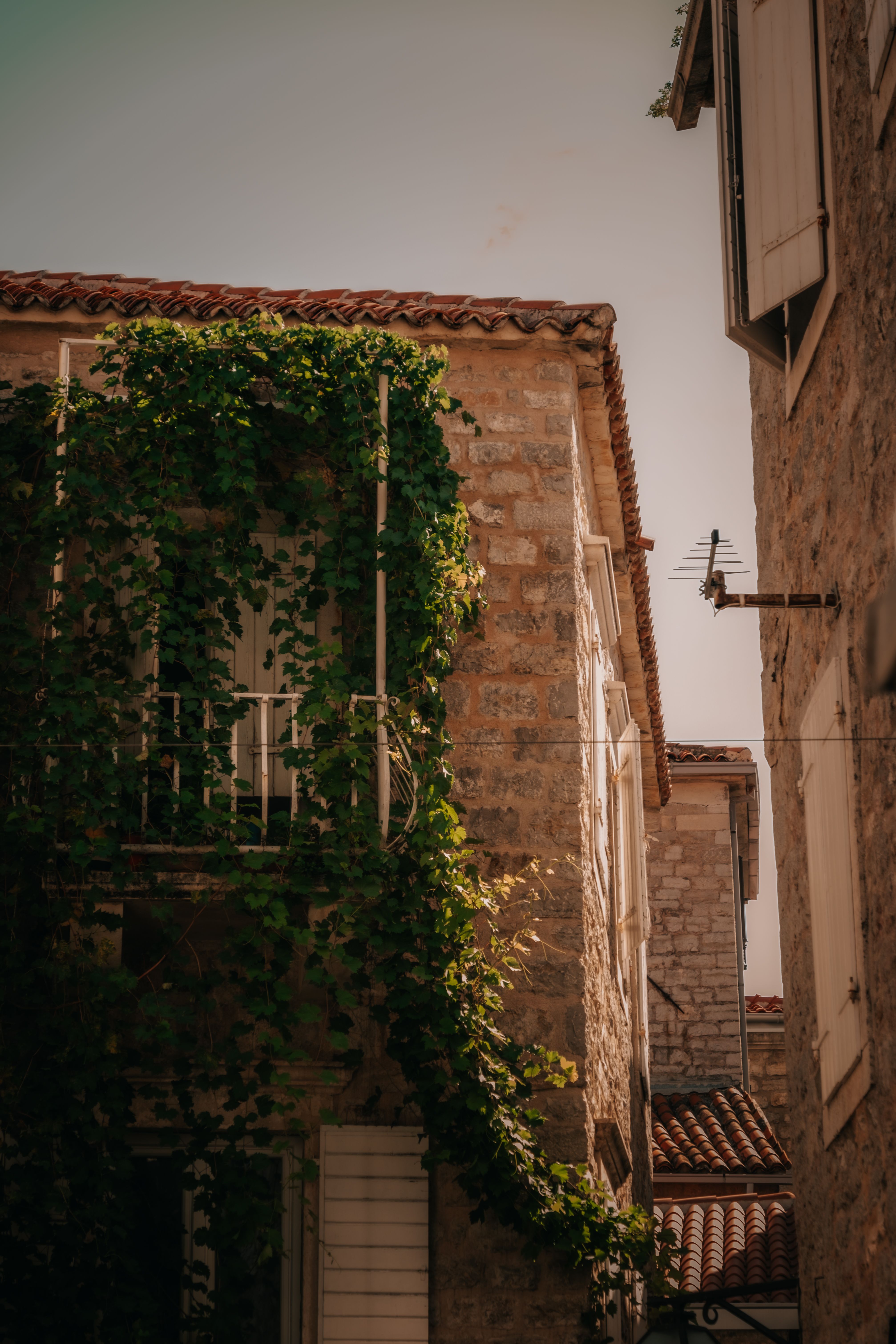 Charming Mediterranean Stone House with Ivy · Free Stock Photo