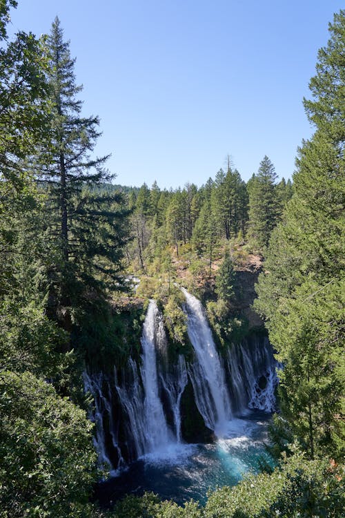 Fotos de stock gratuitas de burney falls, caídas, cascadas
