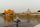 punjab