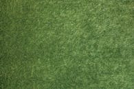 Vibrant Green Grass Texture Background