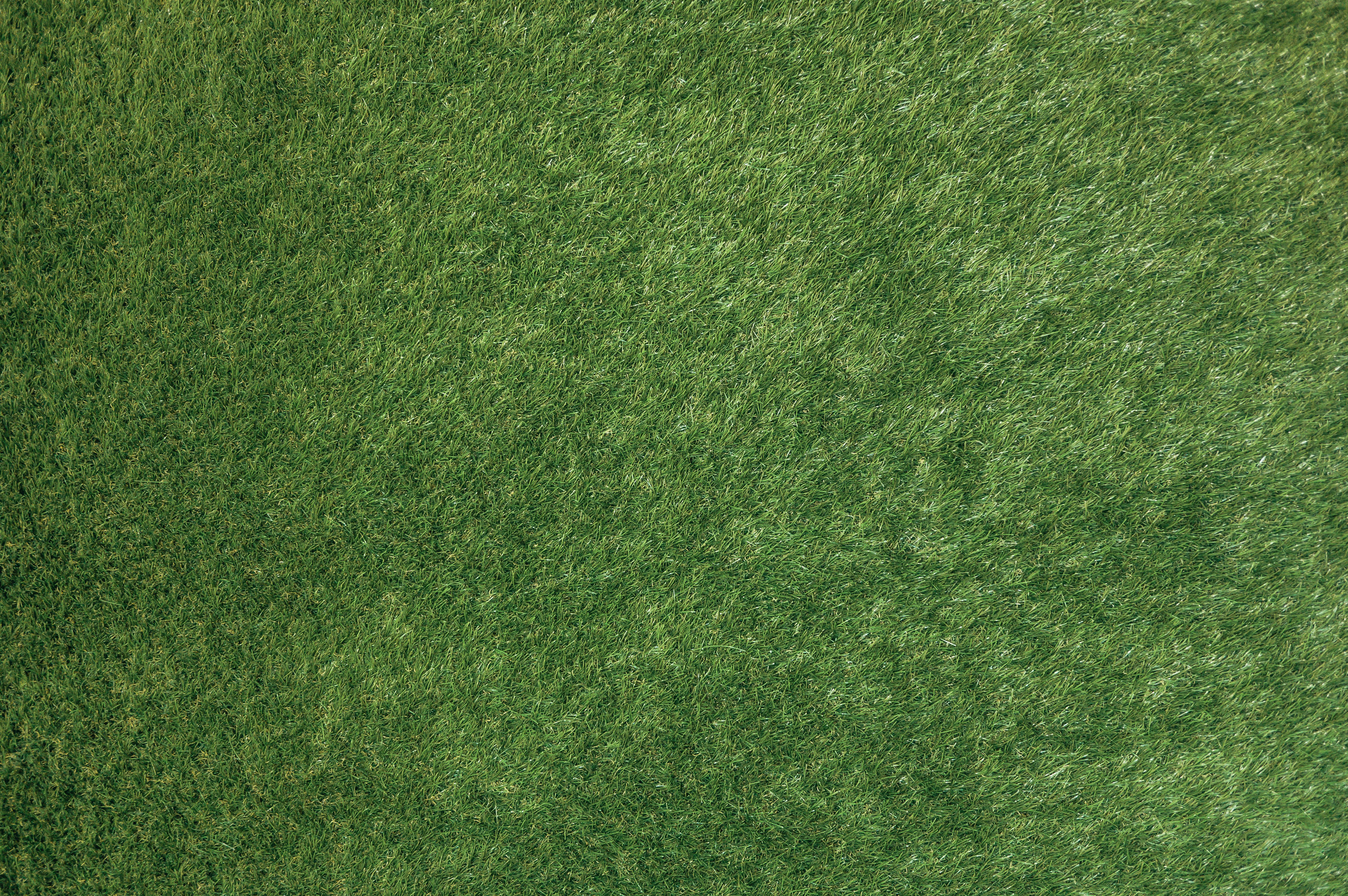 gratis Levendige Groene Gras Textuur Achtergrond Stockfoto