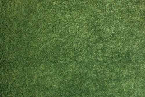 Free Close-up of a lush green grass texture, perfect for backgrounds. Stock Photo