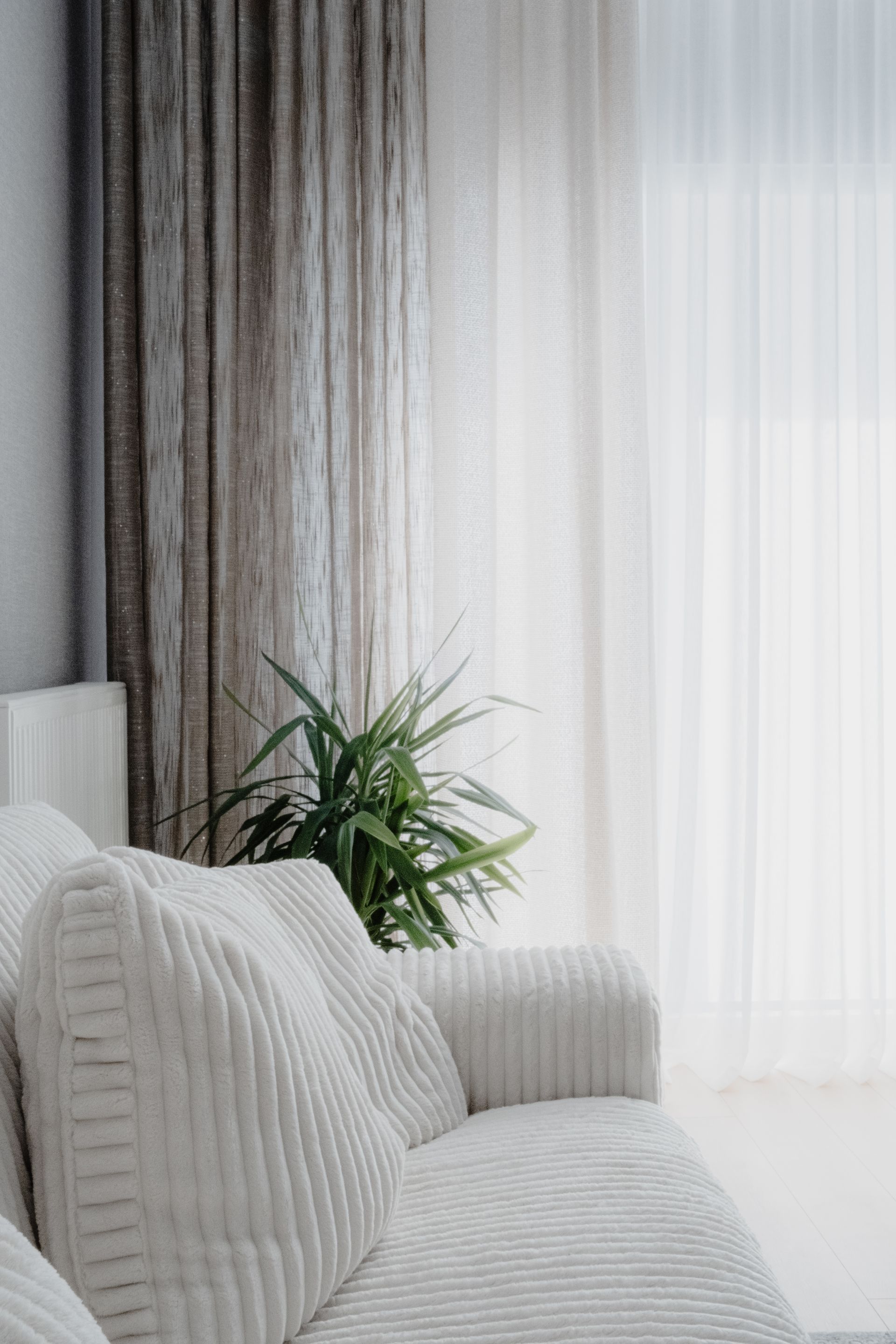 Cozy white corduroy sofa with sheer curtains and plant