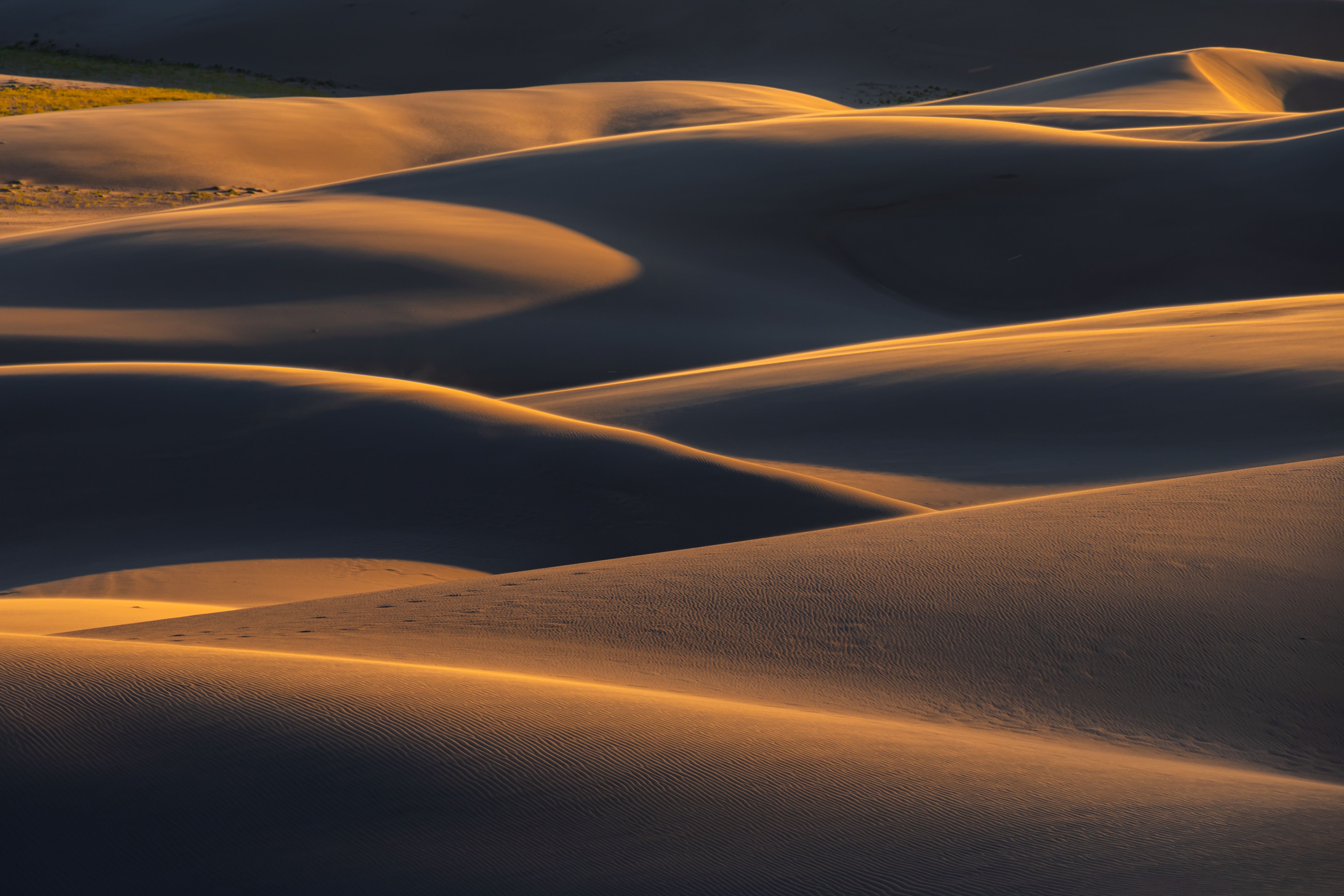 Golden Sand Dunes at Sunset in Colorado · Free Stock Photo