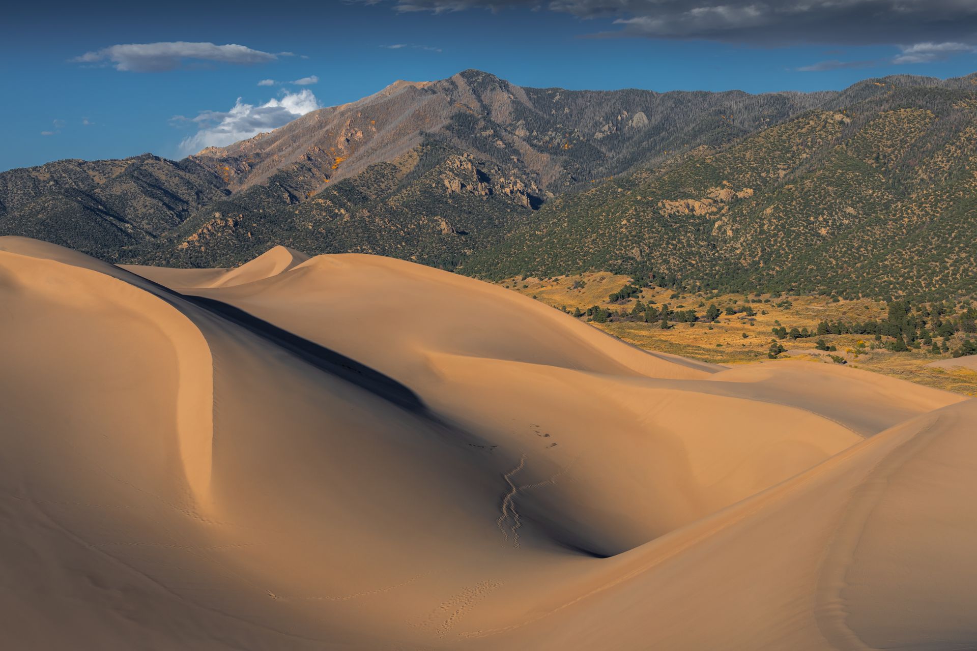 Free stock photo of american desert, colorado, colorado landscape