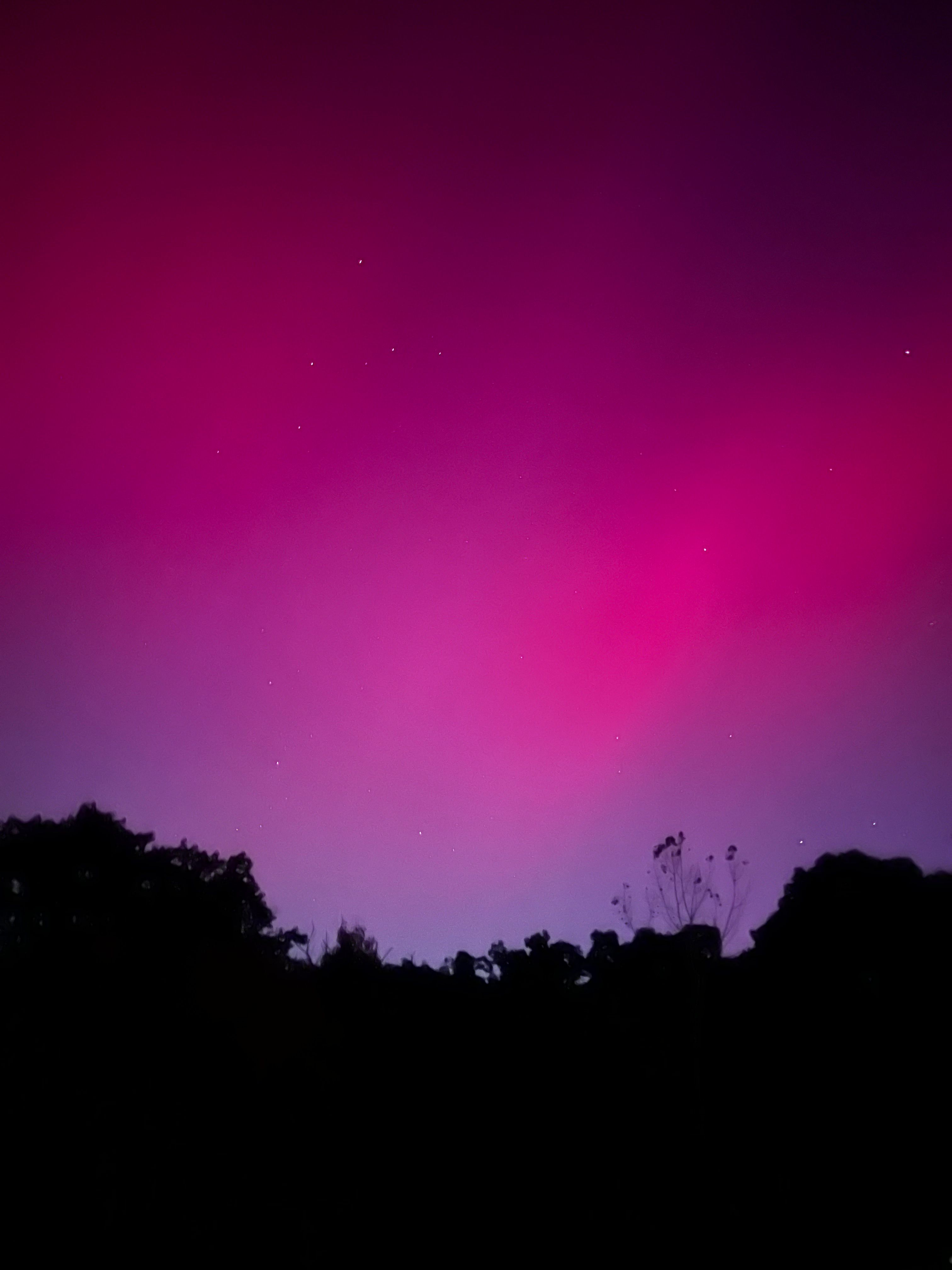 Silhouetted Landscape Under Pink Night Sky · Free Stock Photo