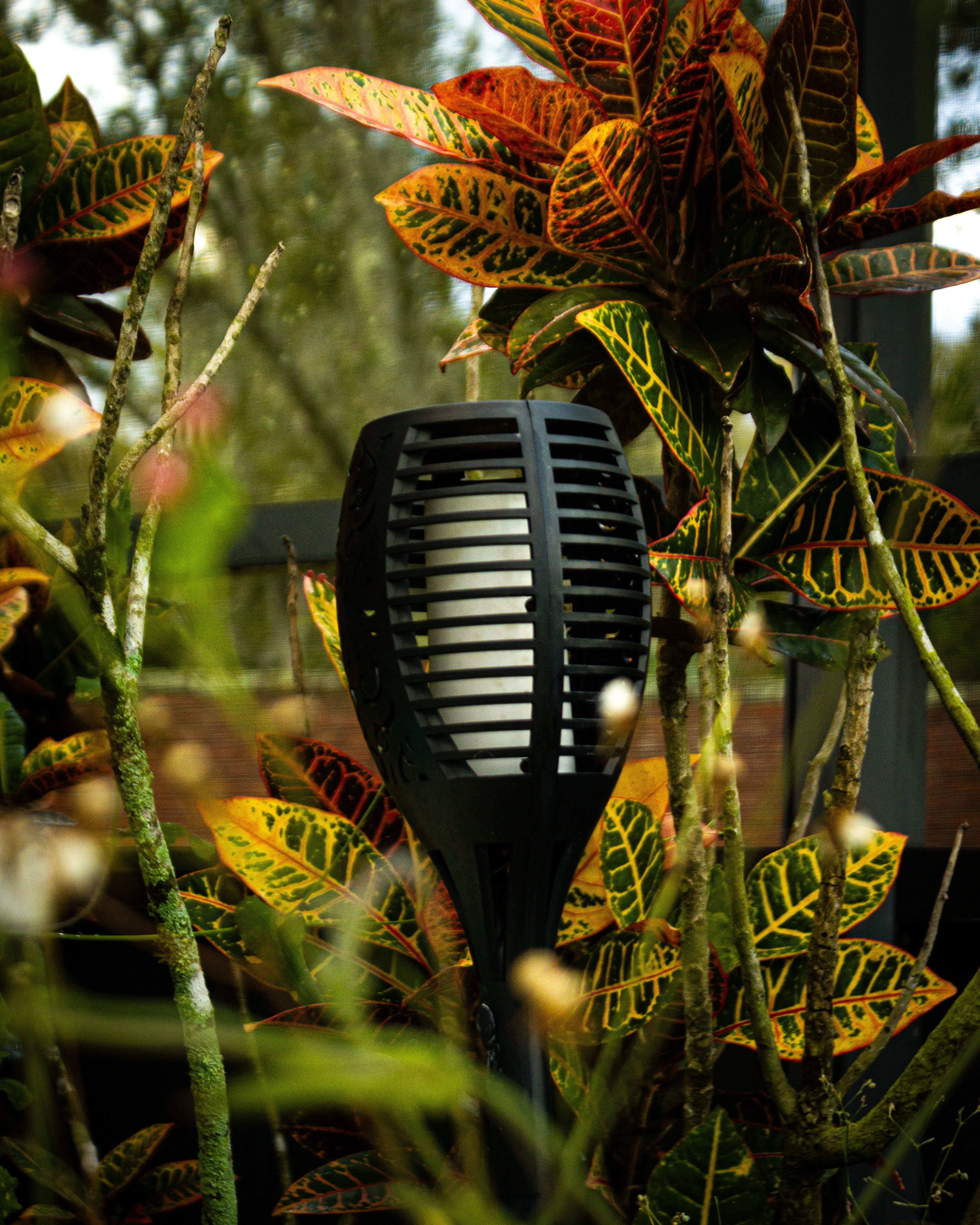 Black garden lantern surrounded by vibrant autumn leaves, creating a warm outdoor ambiance.