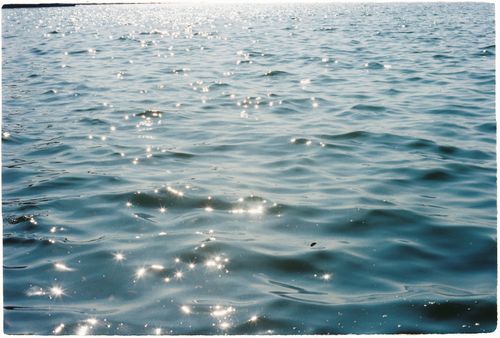 Free Sunlit water surface creating sparkling reflections on a sunny day. Stock Photo