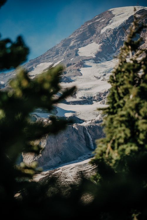 Free Beautiful view of Mount Rainier framed by lush green trees, showcasing natural beauty. Stock Photo