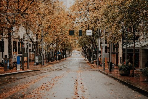 Free A quiet city street in fall, lined with trees displaying colorful autumn leaves. Stock Photo