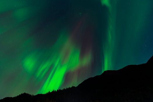 Aurora borealis illuminating the night sky over silhouetted landscape.