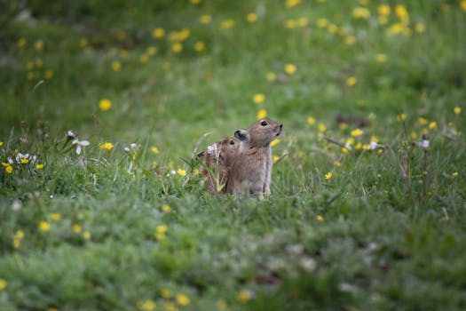 Image by yuyang zhang