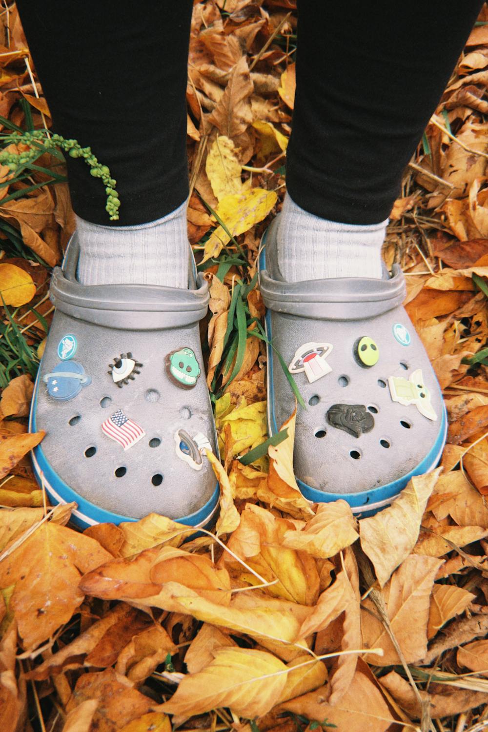 Colorful Crocs on Autumn Leaves in Talgar · Free Stock Photo