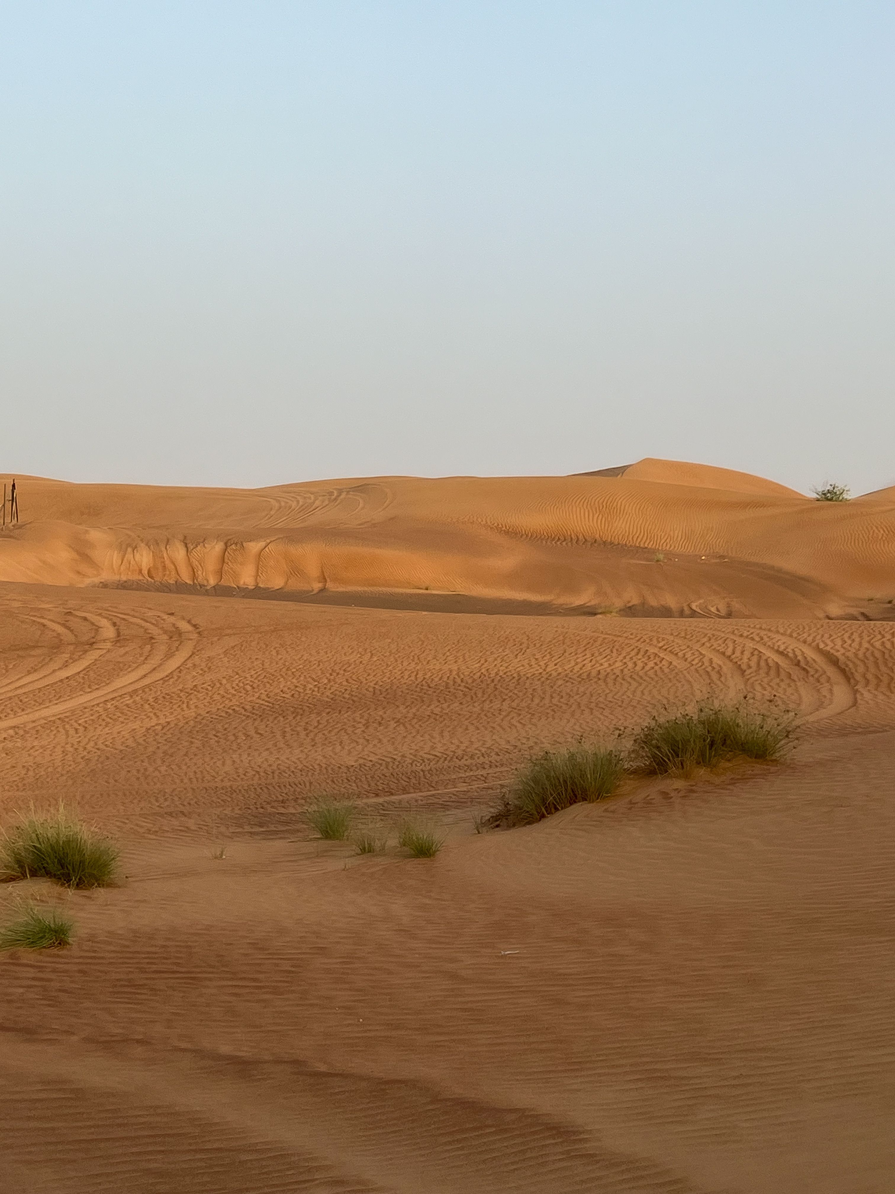 الجغرافيا السياسية للسعودية