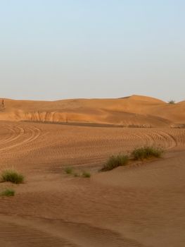 Peaceful desert scene with sunlit sand dunes under a clear sky, showcasing calm beauty.