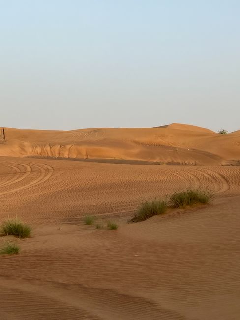 الجغرافيا السياسية للسعودية