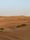 arabian desert