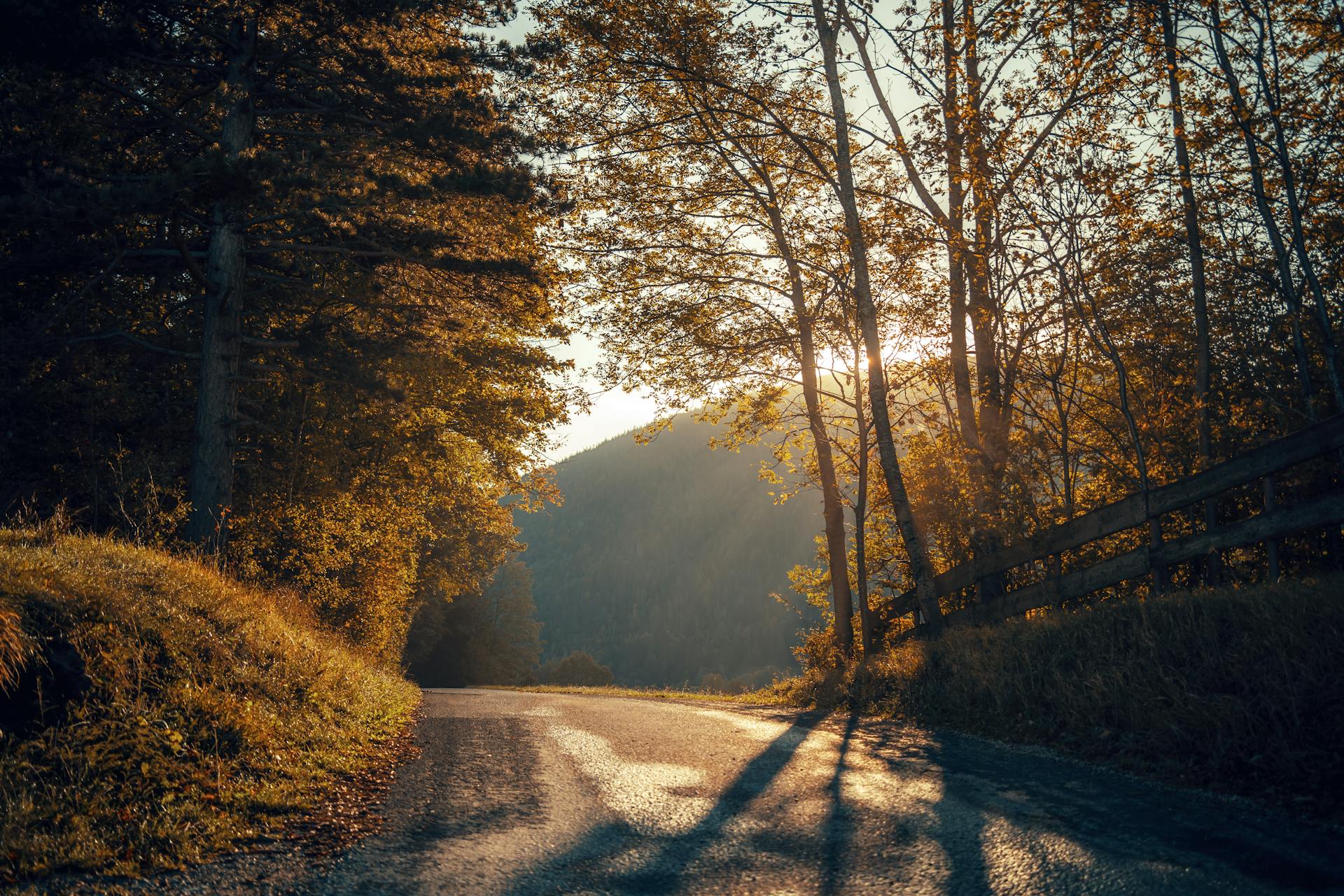 Sunlit Mountain Road in Austrian Countryside