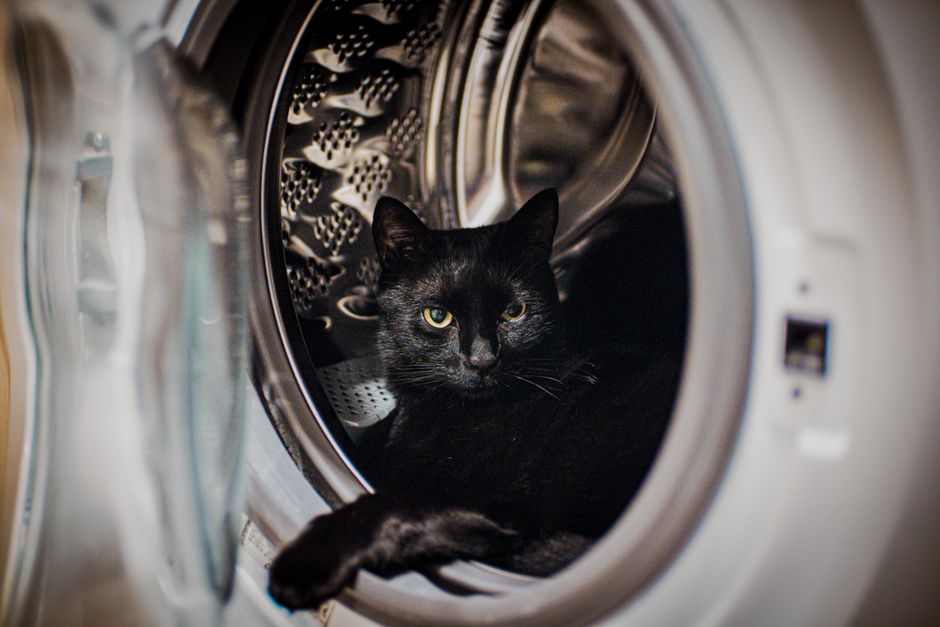 Black cat with yellow eyes lying inside the open drum of a front-loading washing machine, one paw over the rim