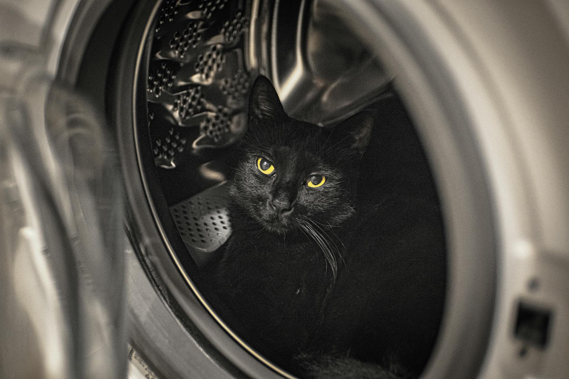 A black cat with yellow eyes sits inside a washing machine drum, looking outward.