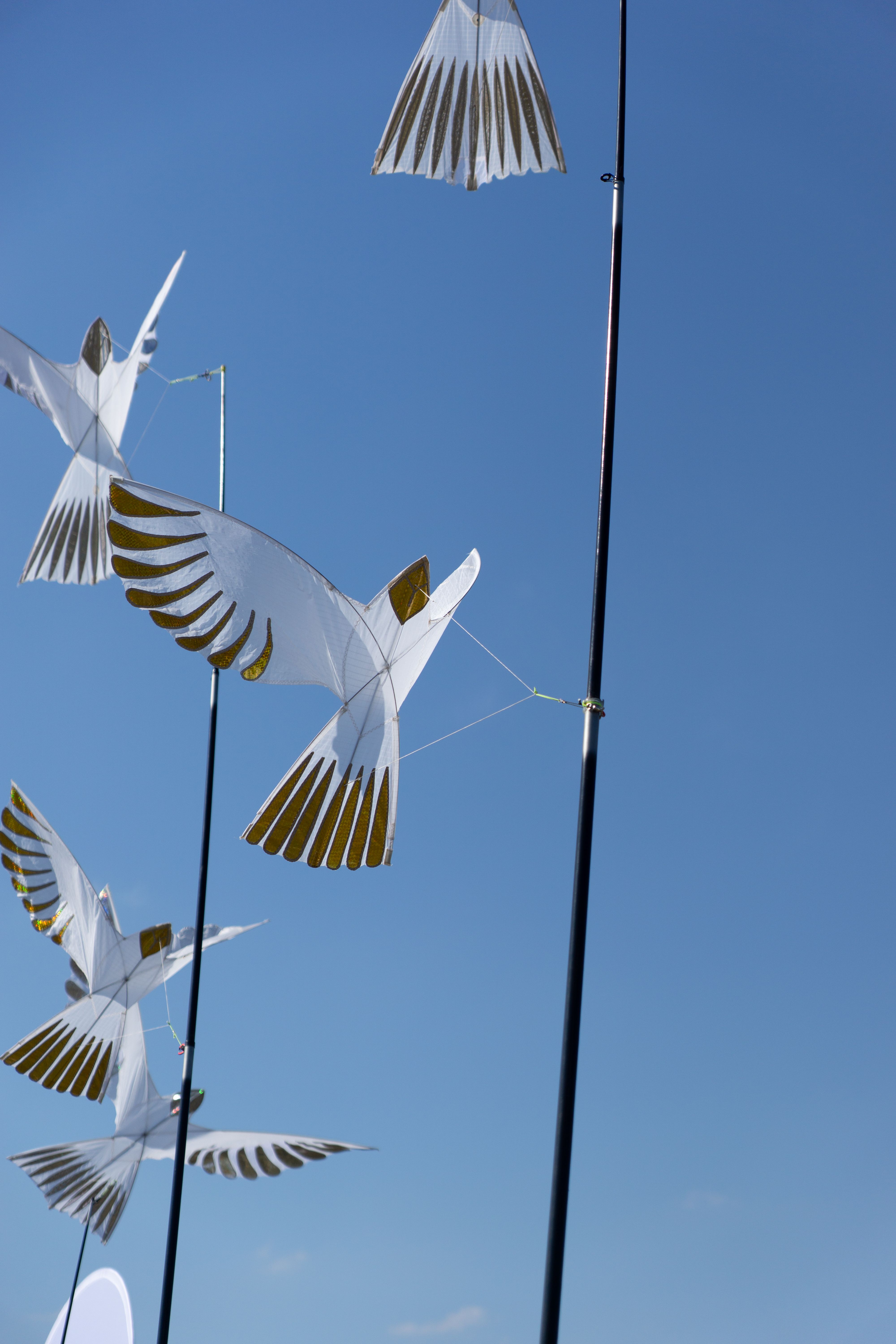 Dynamic Display of Bird-Shaped Kites in Berlin Sky · Free Stock Photo