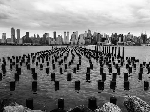 High-rise Buildings With Logs in Water