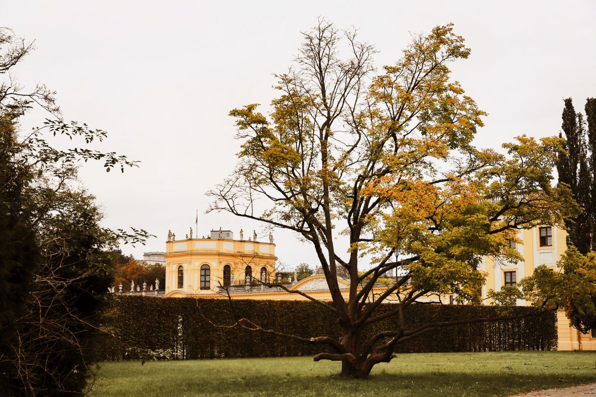 The Orangerie building in Kassel, Germany, amidst vibrant autumn foliage.