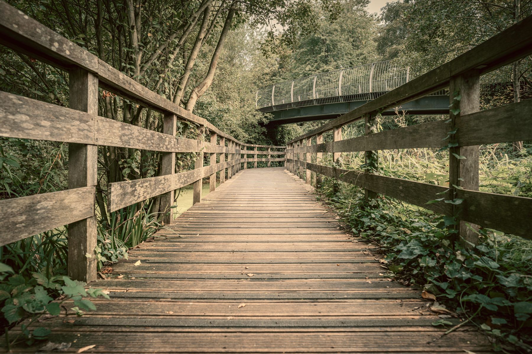 Woodley and Lower Earley: A Local Shops and Parks Walk from Reading