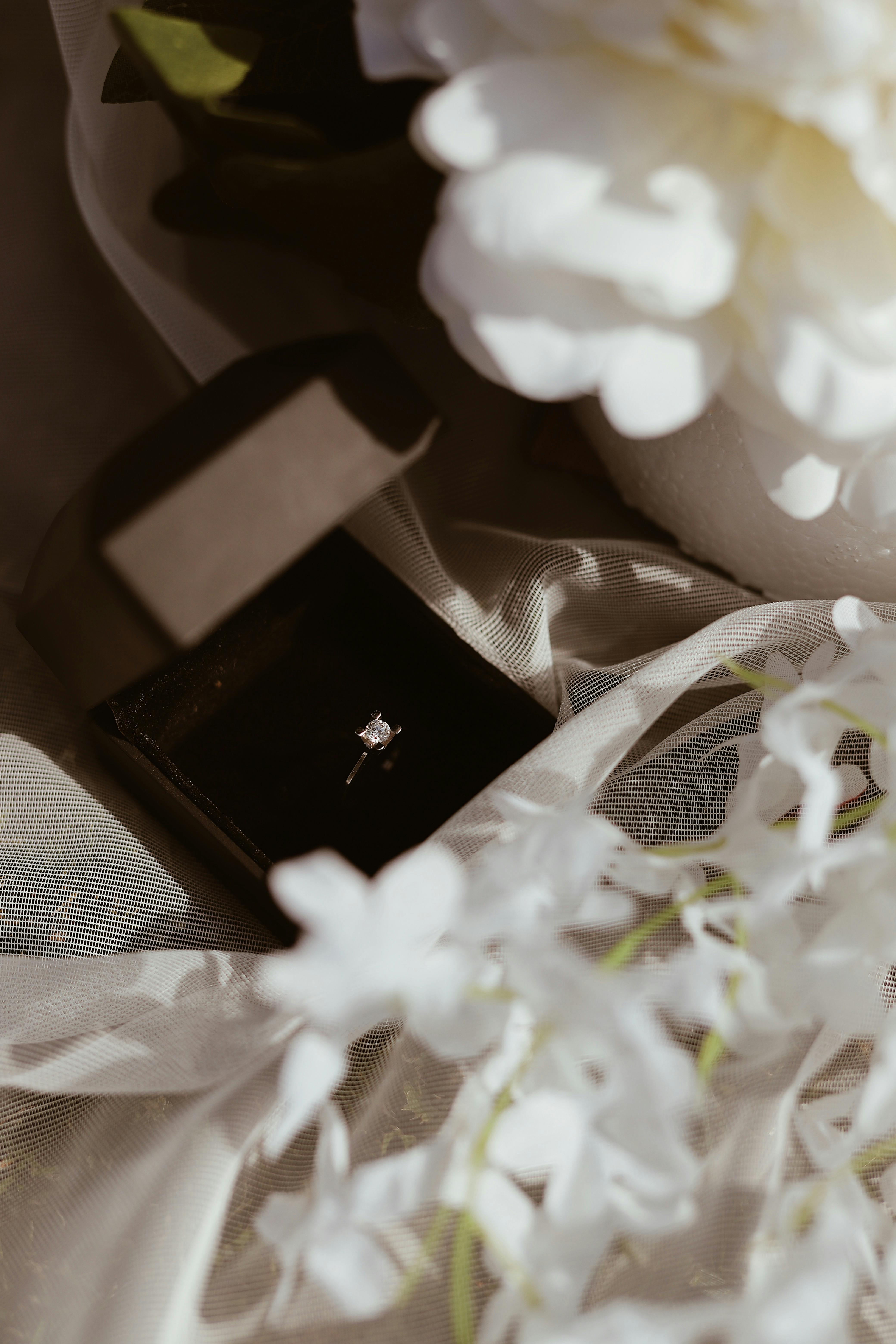 grátis Foto profissional grátis de □ gentil, acessório, adereço Foto profissional