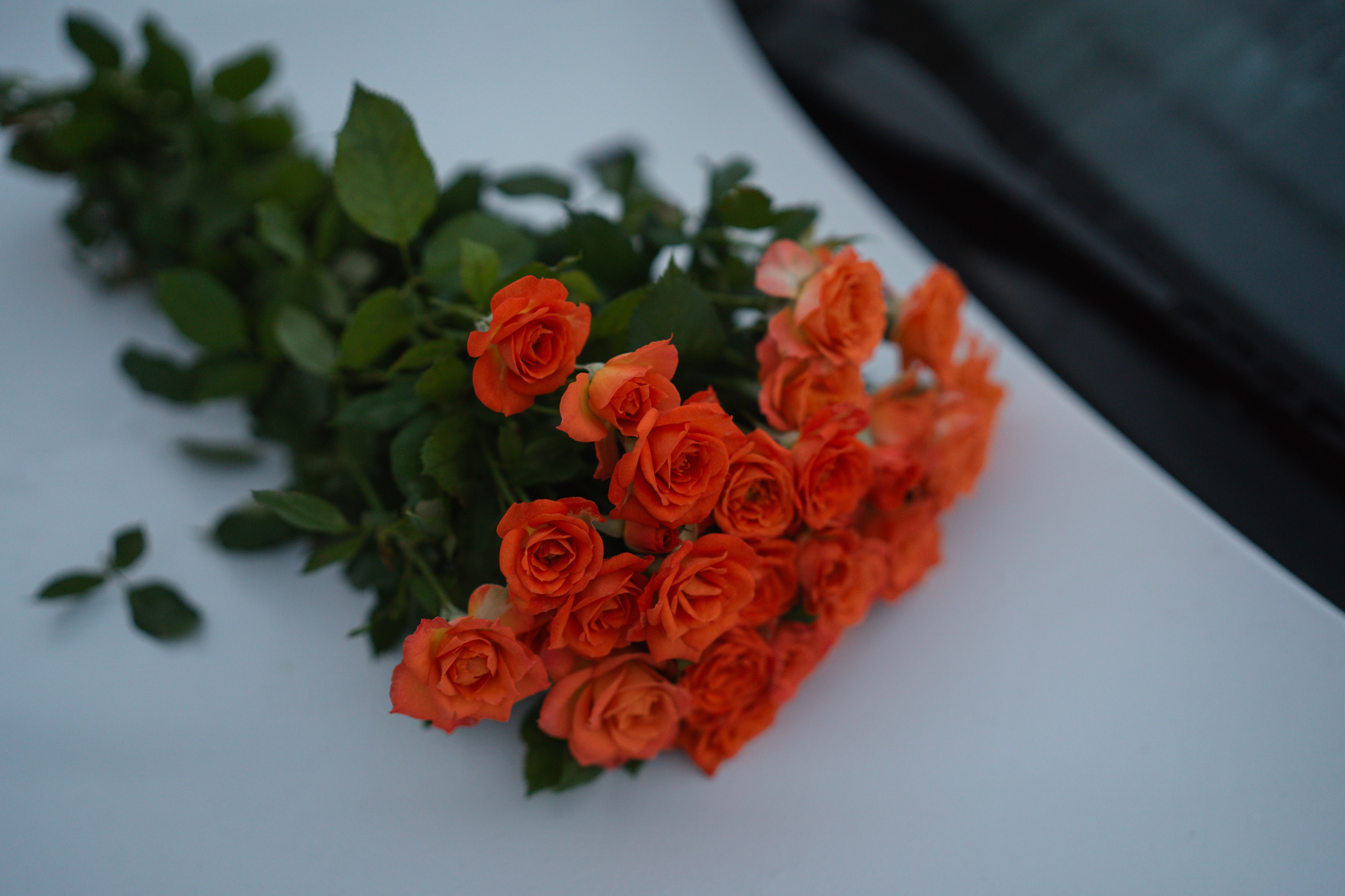 A bouquet of orange roses laying on a white surface, showcasing vibrant colors.