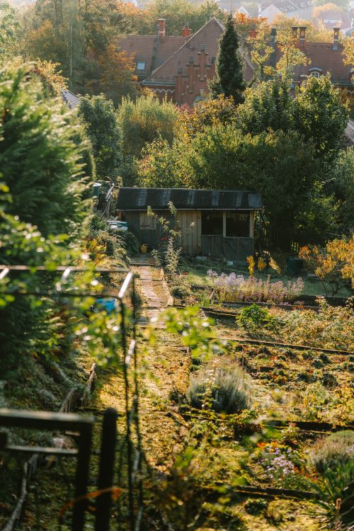 Free A serene garden scene in Pirna, Germany with historic architecture and sunset lighting. Stock Photo