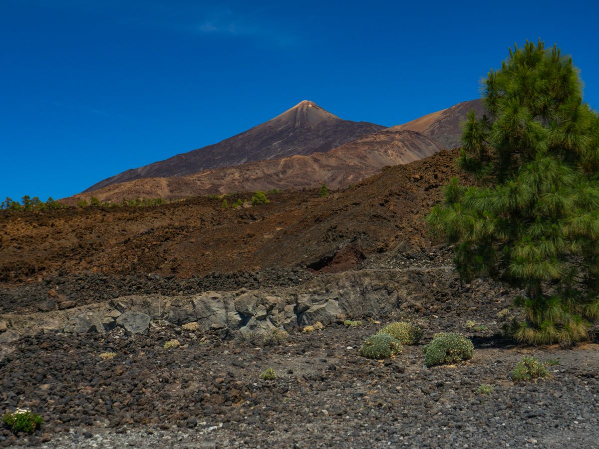 7 Day Tantra Massage, Yoga & Meditation Course in Tenerife 2