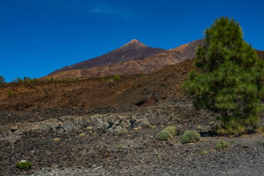Tenerife, Spain photo 12