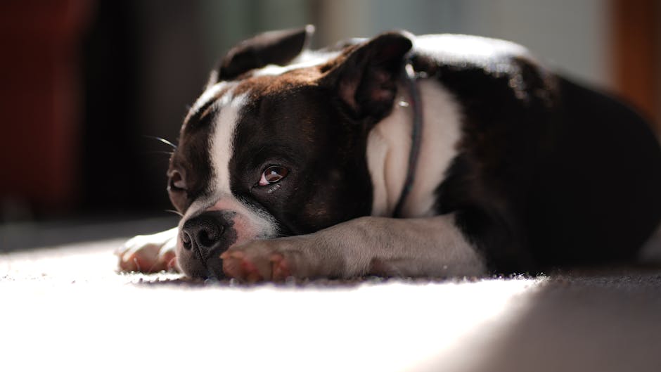 Avoid These Household Toxins to Safeguard Your Family
