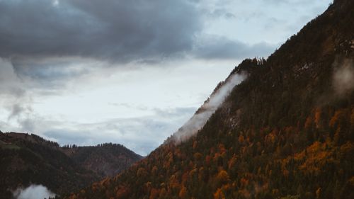 Free Foggy autumn mountain landscape in Tirol, Austria with vibrant fall foliage. Stock Photo