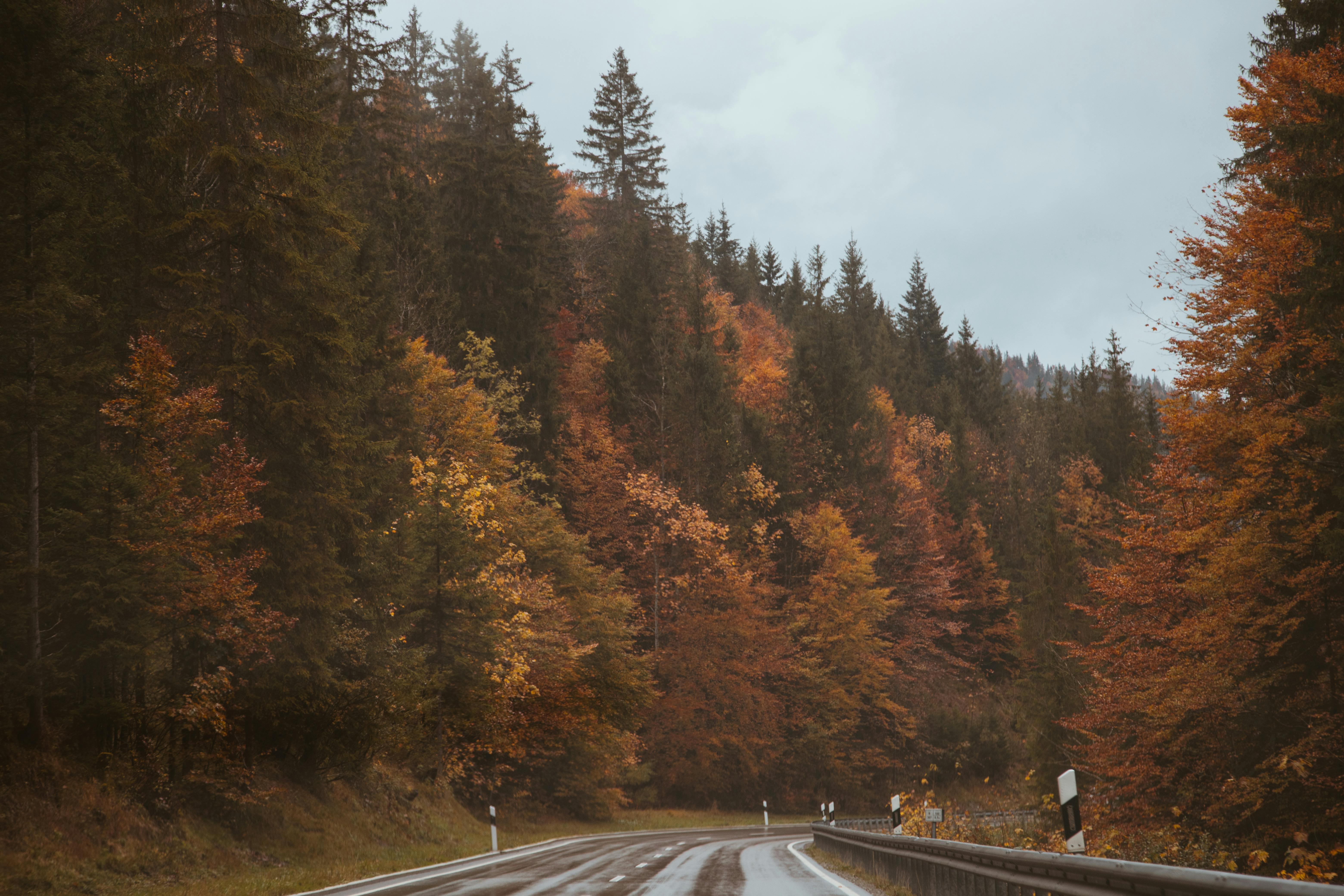 Carte des Routes Panoramiques à Ne Pas Manquer en Europe