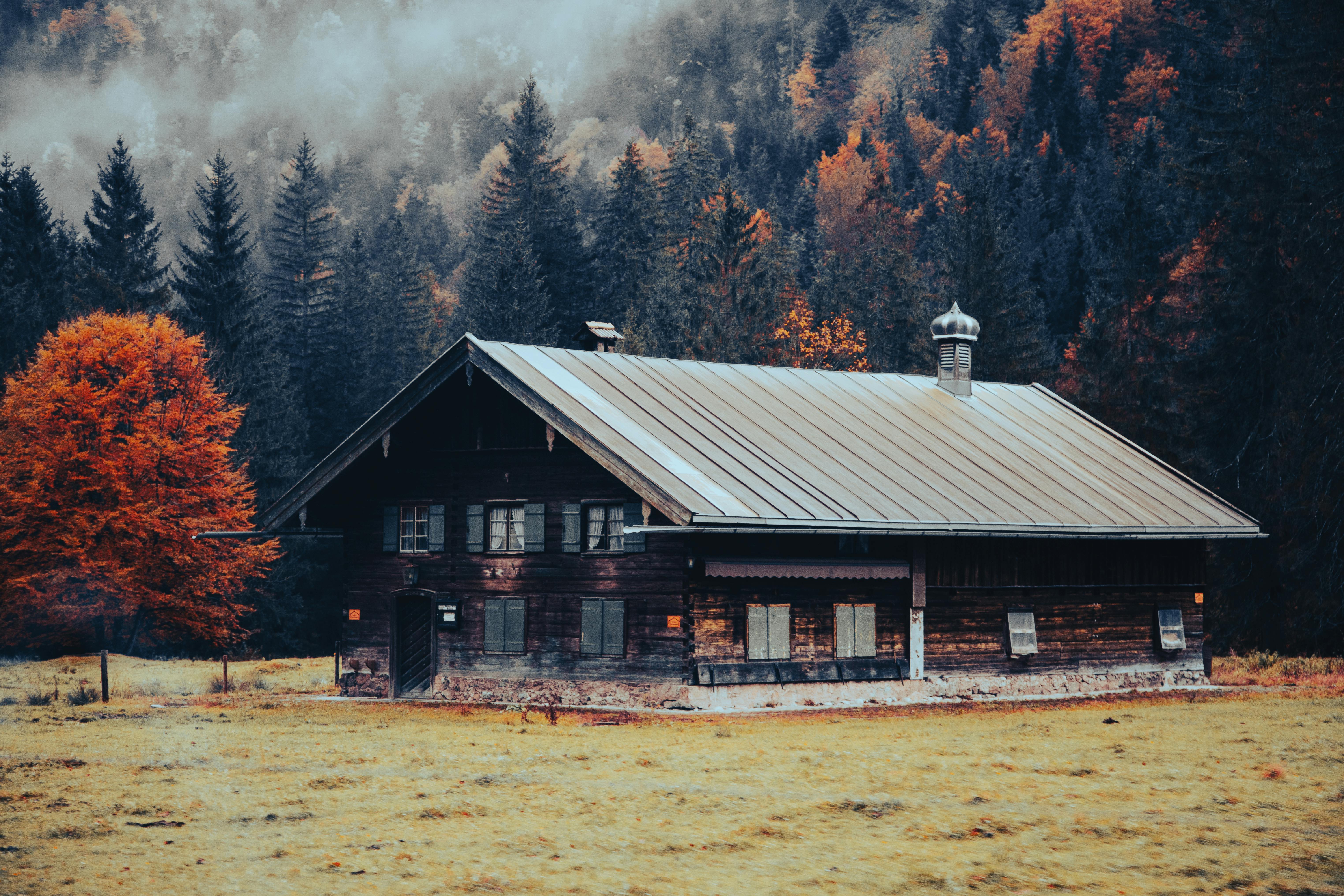home cooking — Photo by Bastian Riccardi on Pexels