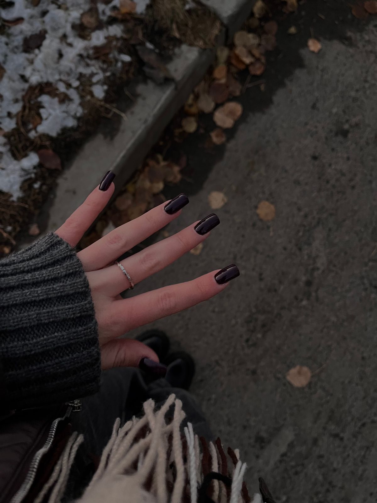 Close-up of a hand with dark manicured nails wearing a ring, set against a fall backdrop.