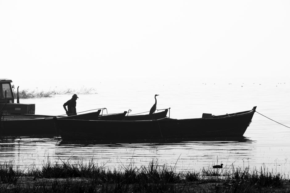 Black and white silhouette of a man near boats with a bird on calm waters.