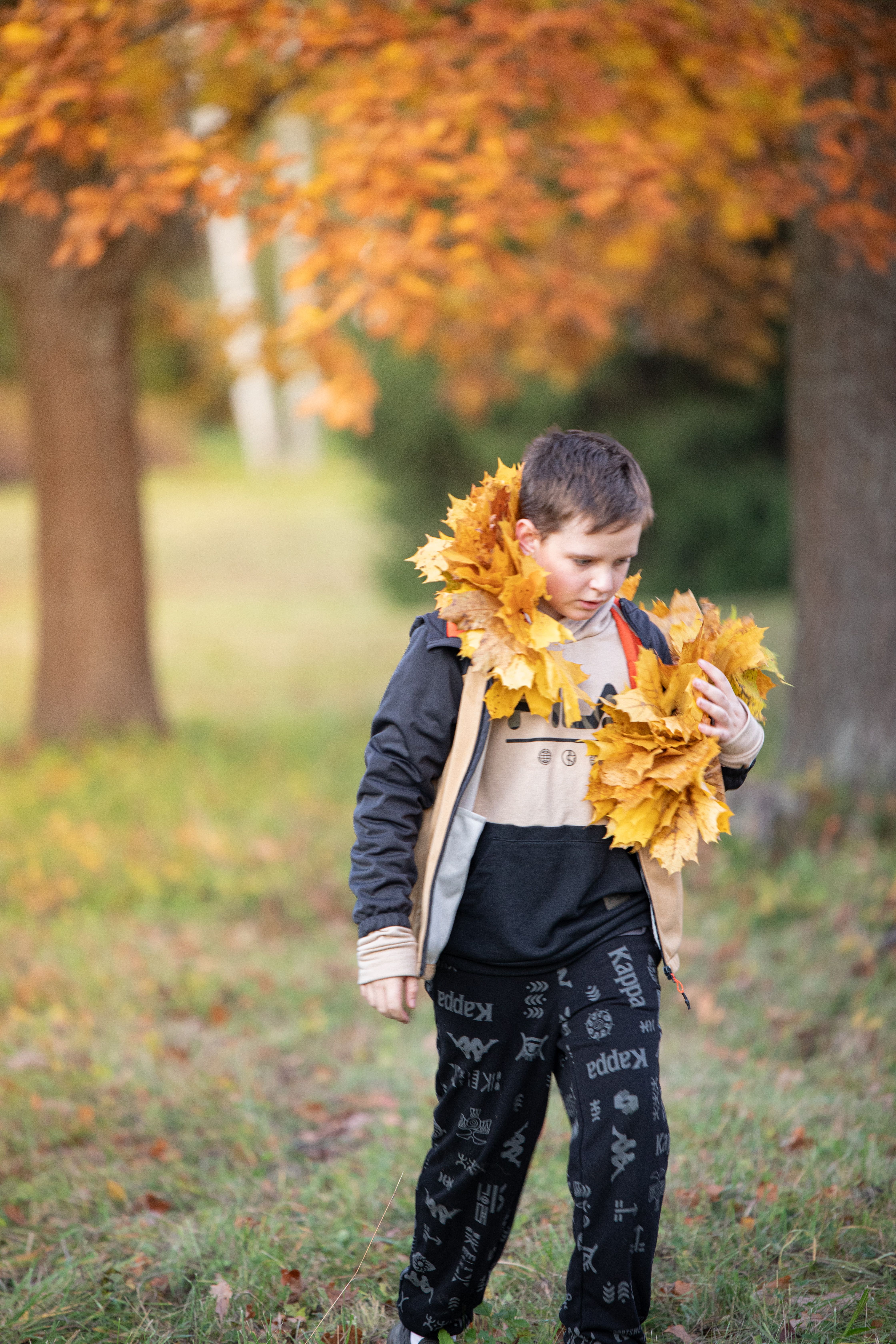 Child Walking Through Autumn Leaves in Park · Free Stock Photo