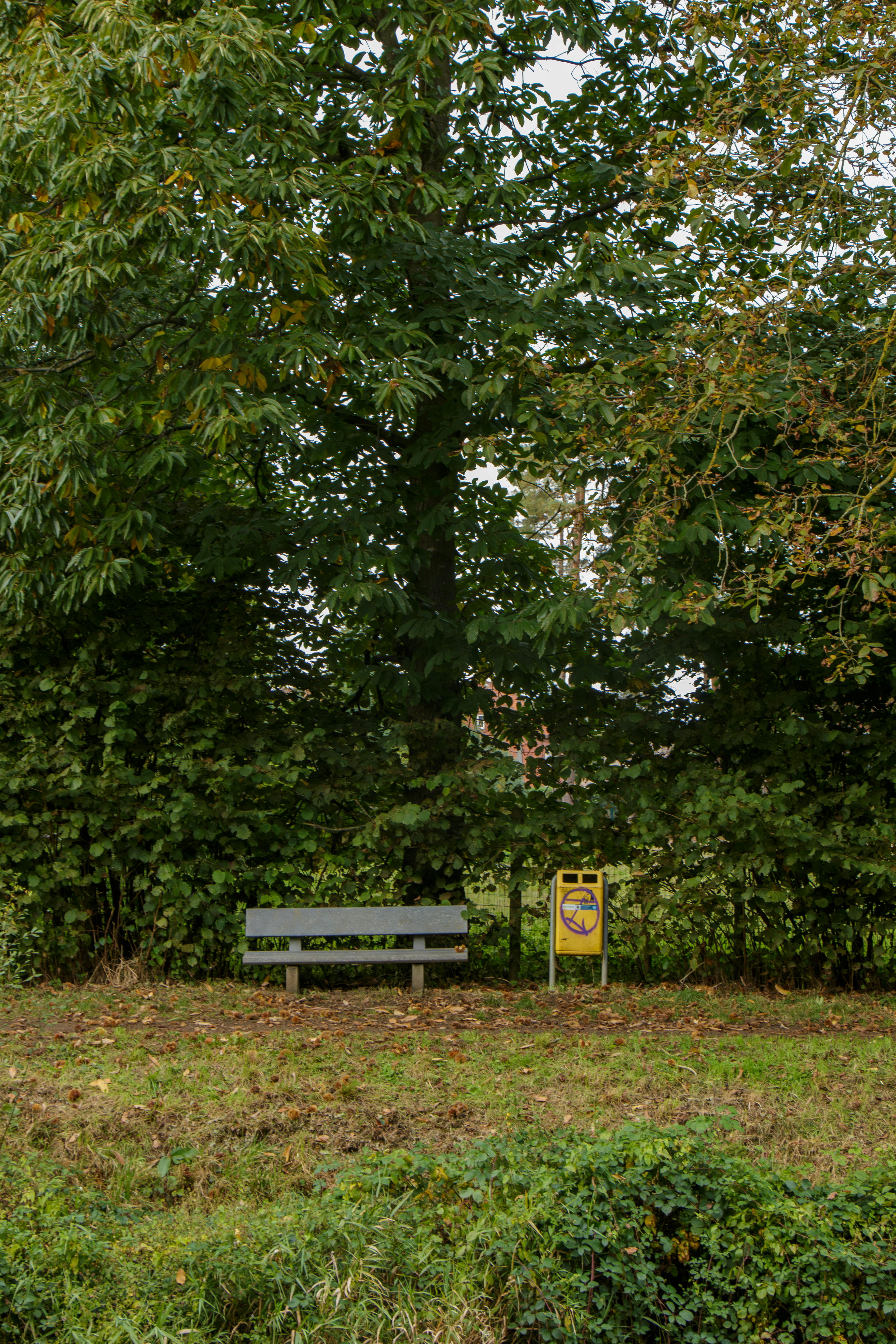 ingyenes Bank Stockfotó