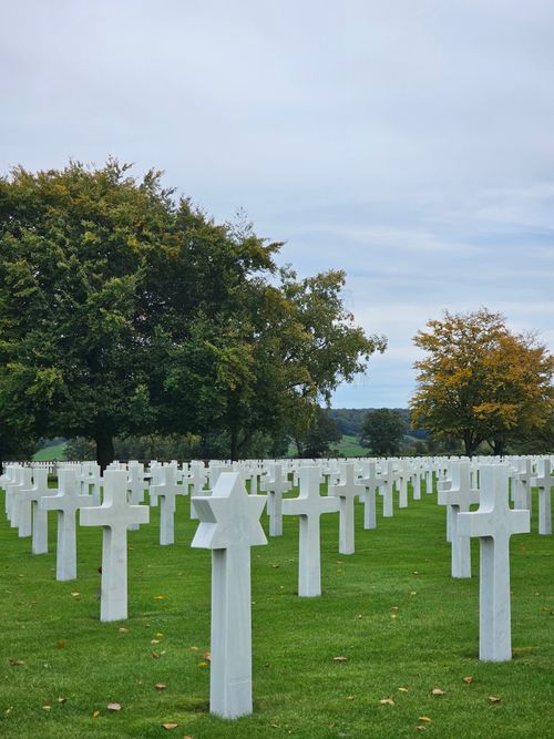 Free Peaceful cemetery scene with aligned white crosses and lush trees in Plombières, Belgium. Stock Photo