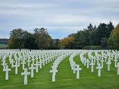 Rows of white crosses at military cemetery in Plombières, Belgium, in a serene landscape.