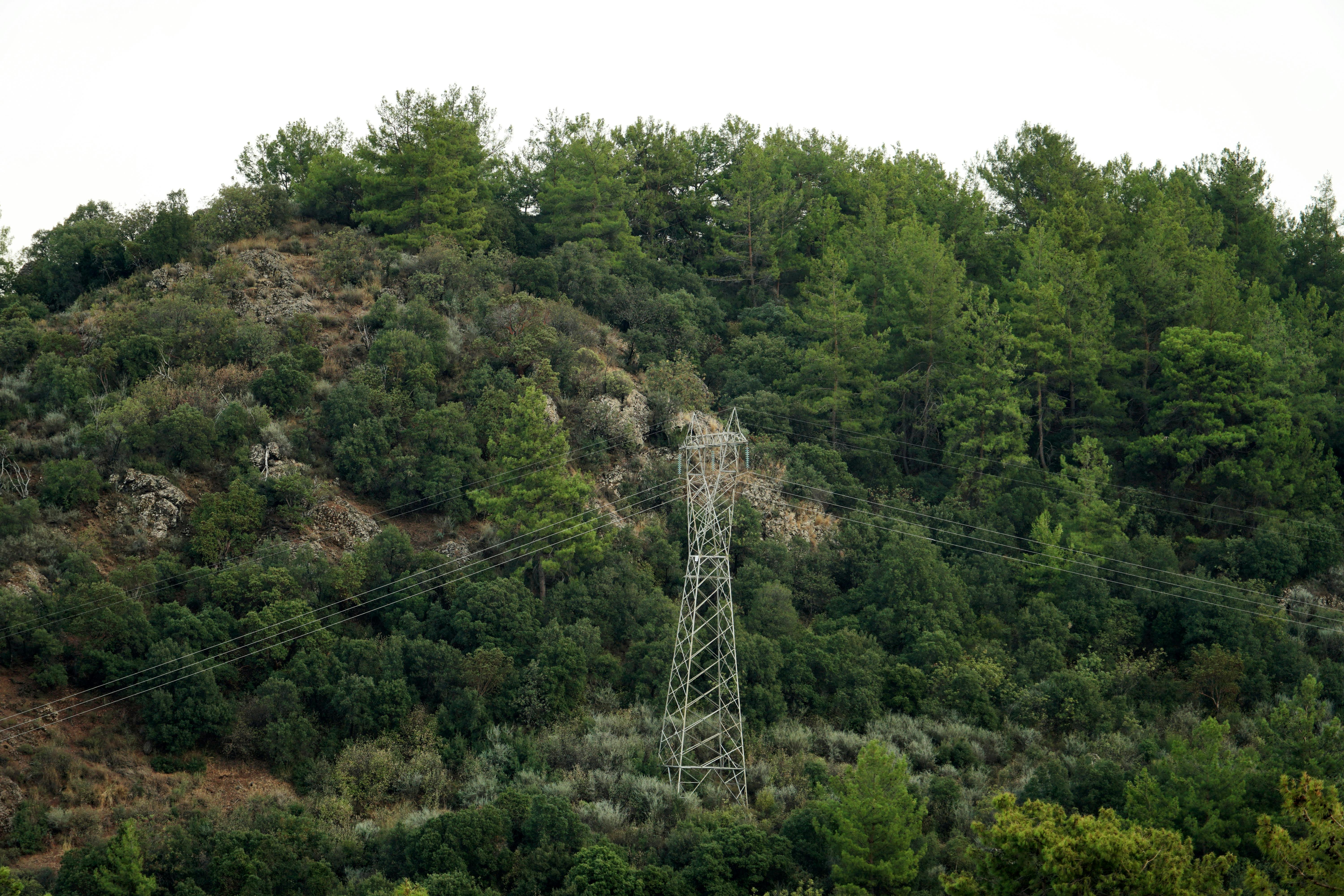 Image illustrating excessive screen time